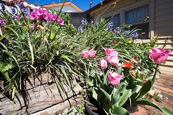 Ballarat Miners Cottages Esterno foto